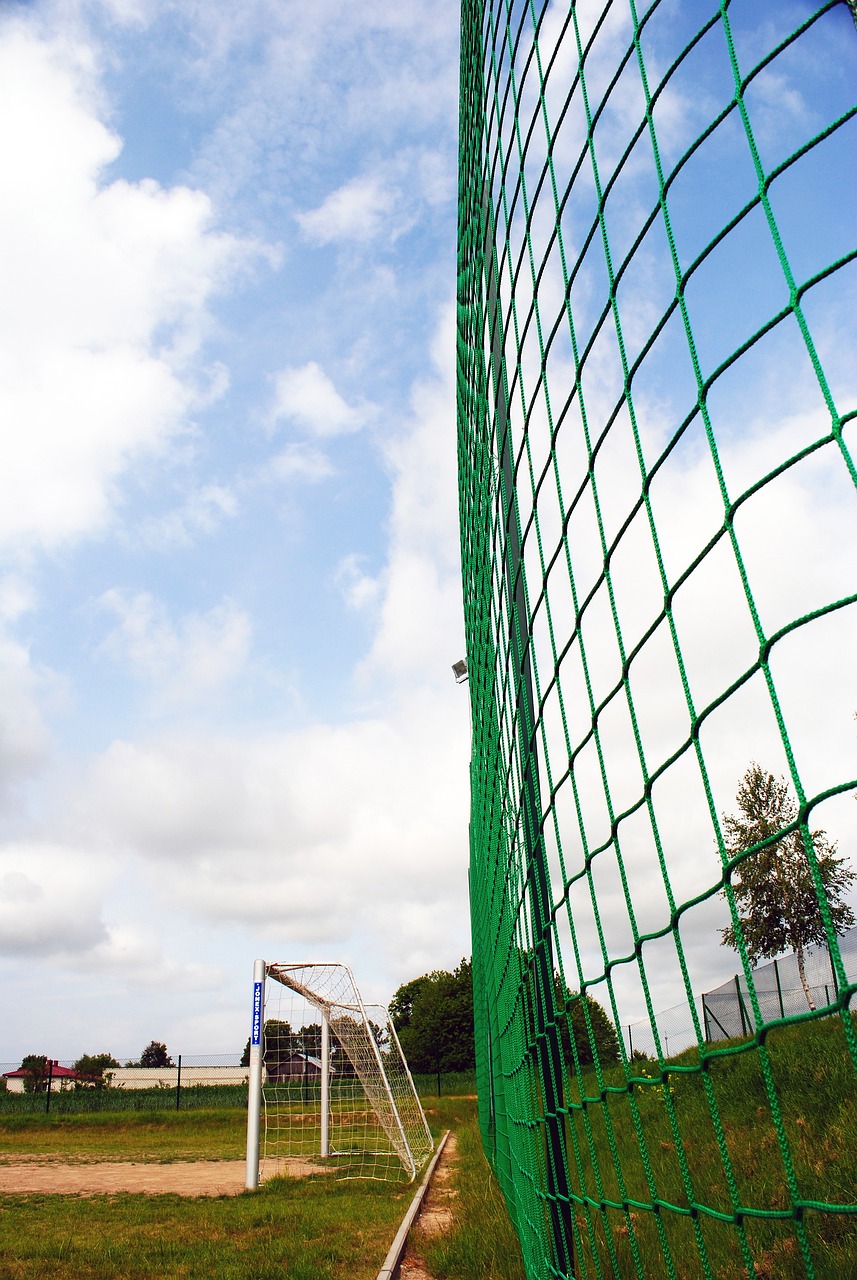 和队员之间 和队员之间