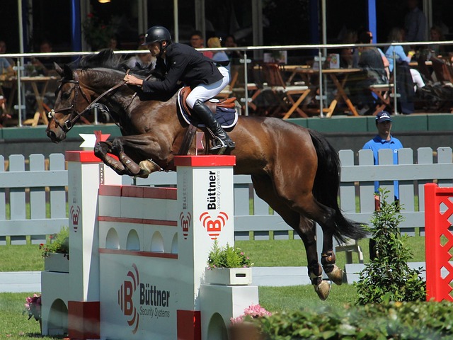 不禁怀疑 不禁怀疑